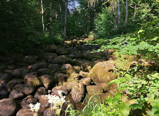 latvia/teici-nature-reserve/landmark/velna-gravis-uz-naruzinas-upes