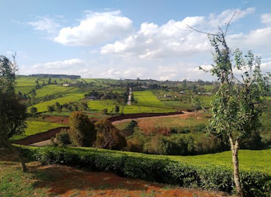 kenya/central-highlands/landmark/kiambethu-tea-farm