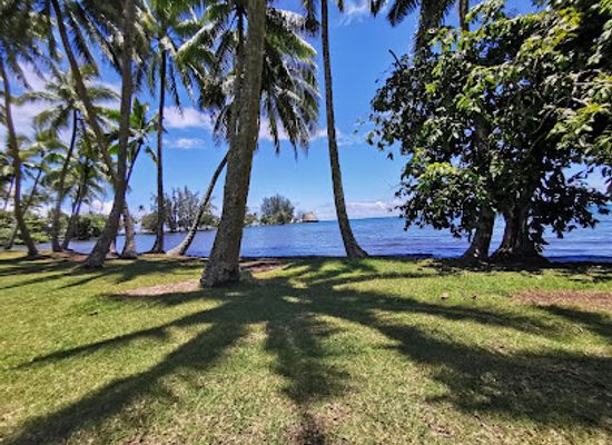french-polynesia/gambier-islands/landmark/harrison-smith-botanical-garden