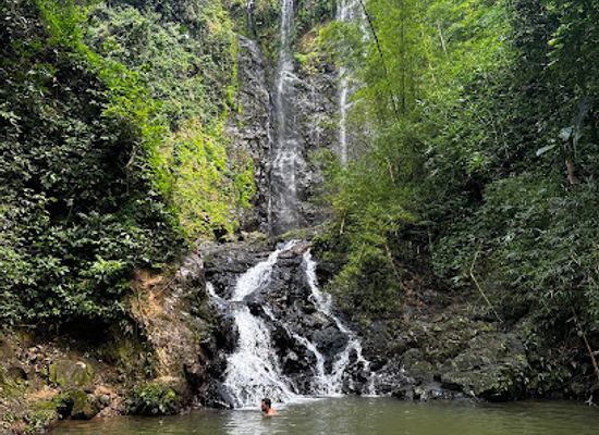 puerto-rico/sierra-de-cayey/landmark/charco-prieto-waterfall