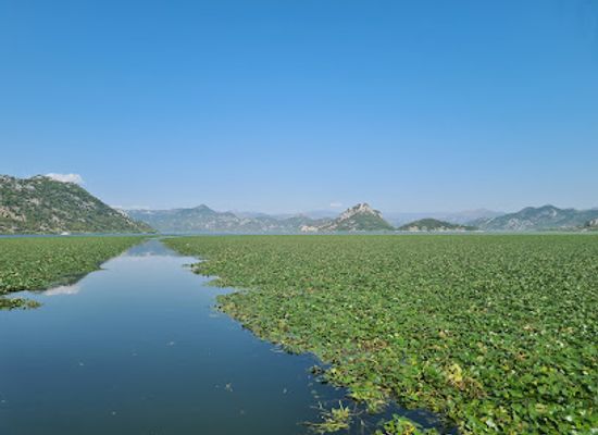 montenegro/lake-skadar/landmark/boat-milica