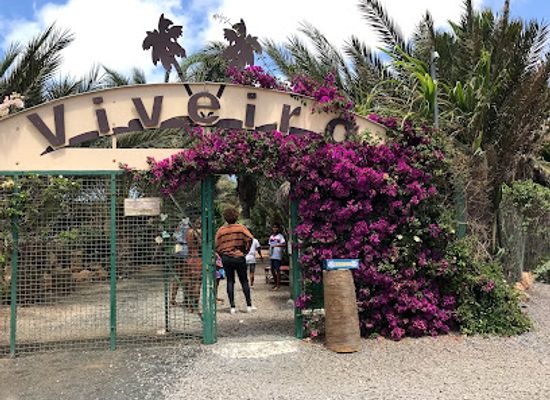 cabo-verde/praia/landmark/pachamama-eco-park-viveiro-botanical-garden