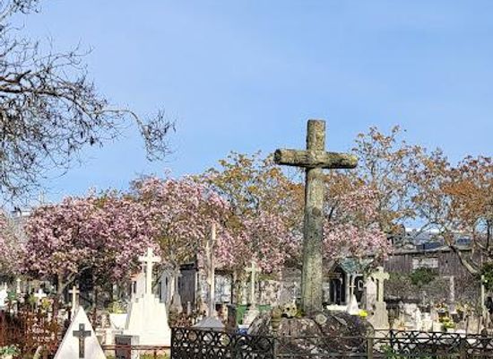 portugal/minho/landmark/cemetery-of-prado-do-repouso
