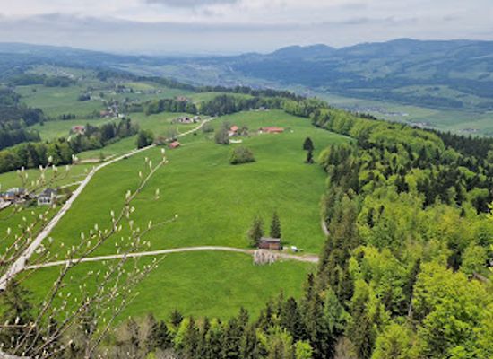austria/flachgau/landmark/burgruine-wartenfels