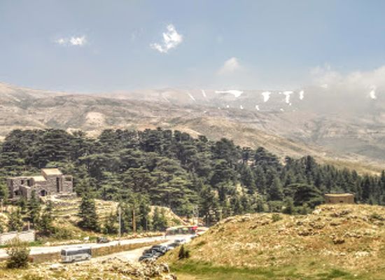 lebanon/bsharri-district/landmark/cedars-of-god-bsharri