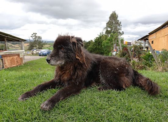 ecuador/carchi-region/landmark/parroquia-de-urbina
