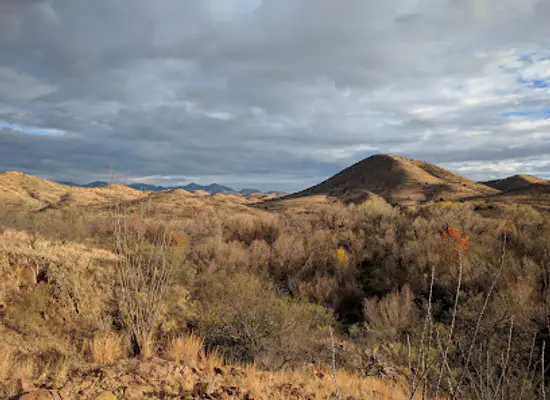 arizona/san-rafael-valley/landmark/patagonia-lake-state-park