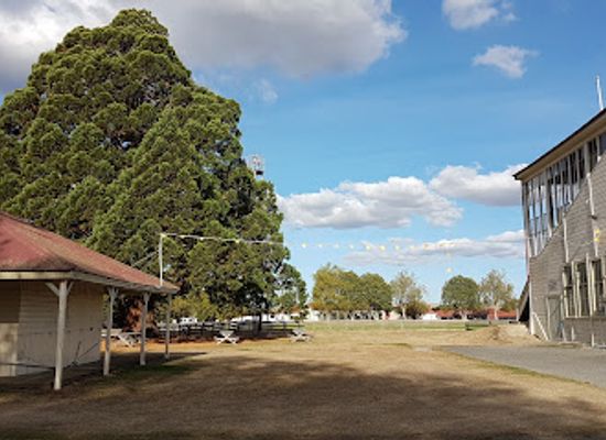 new-zealand/masterton/landmark/wairarapa-farmers-market