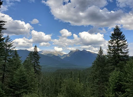 montana/the-cabinet-mountains/landmark/ross-creek-cedars-scenic-area