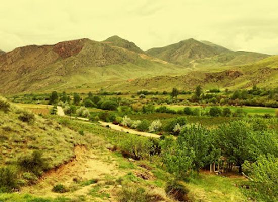 armenia/areni-wine-region/landmark/momik-winecube