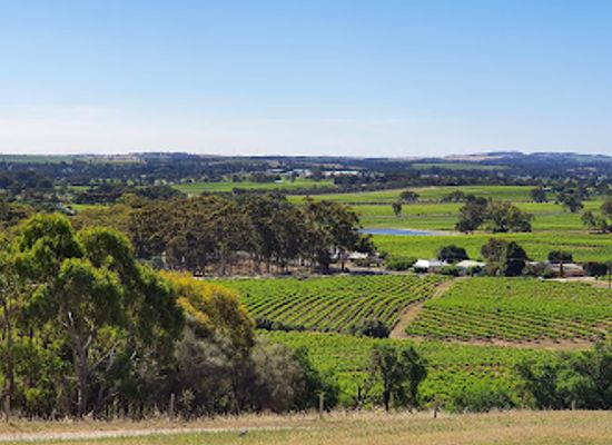 australia/barossa-valley/landmark/bethany-wines