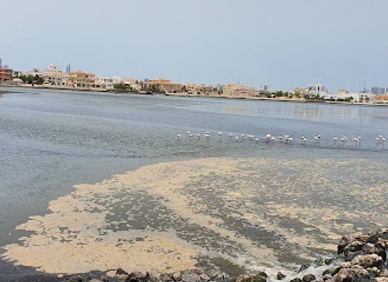 bahrain/jid-ali/landmark/tubli-wpcc-tse-waterfall