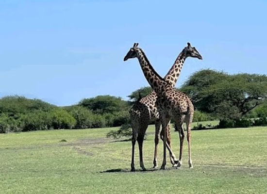 tanzania/central-zone/landmark/ol-doinyo-lengai-local-guide