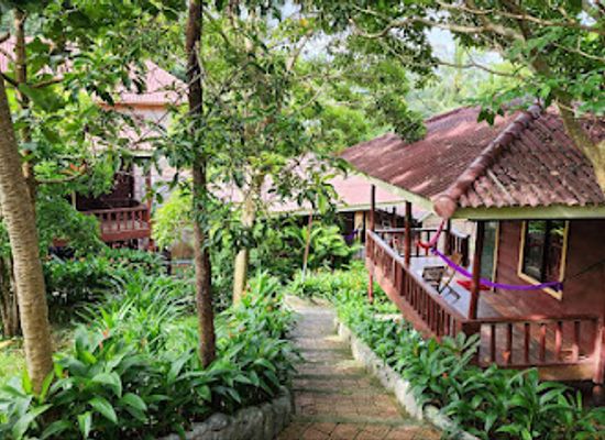 cambodia/koh-rong/landmark/sweet-jungle-bungalows