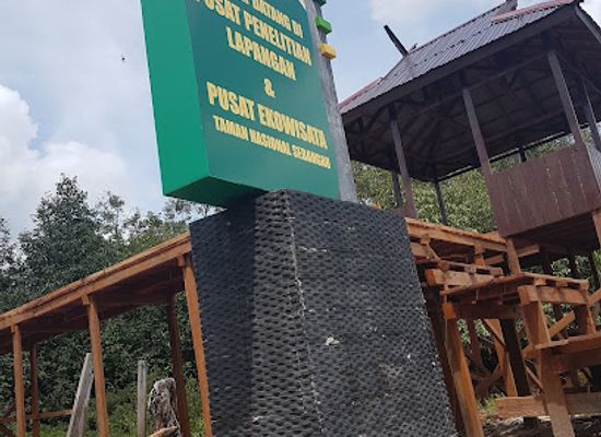indonesia/south-kalimantan/landmark/sebangau-national-park