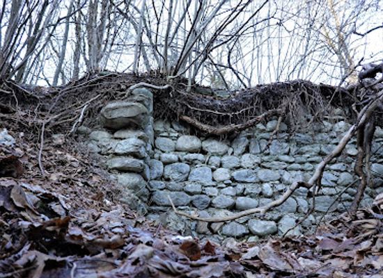 austria/pongau/landmark/burgruine-plankenau