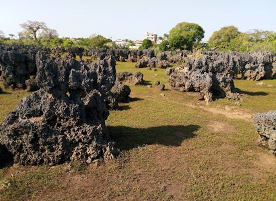 kenya/coastal-region/landmark/kisite-mpunguti-marine-national-park
