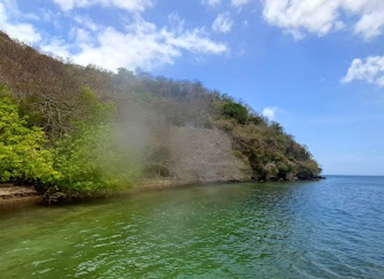 trinidad-and-tobago/diego-martin/landmark/the-tamrind-tree