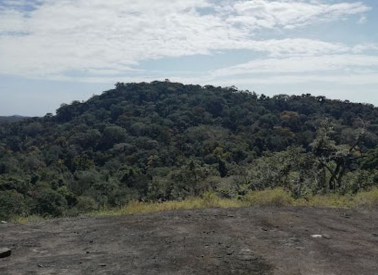sierra-leone/kenema/landmark/gola-rainforest-national-park