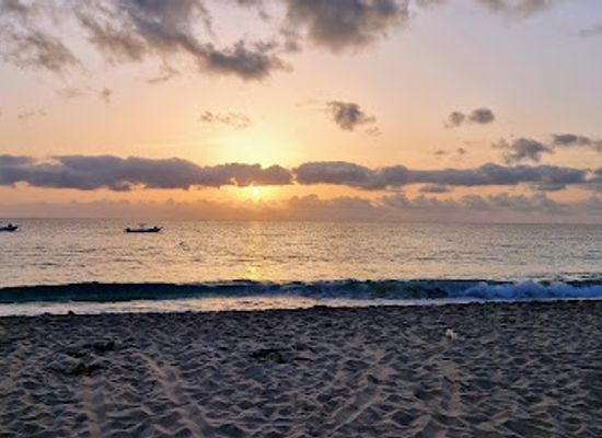 cabo-verde/maio/landmark/projeto-biodiversidade