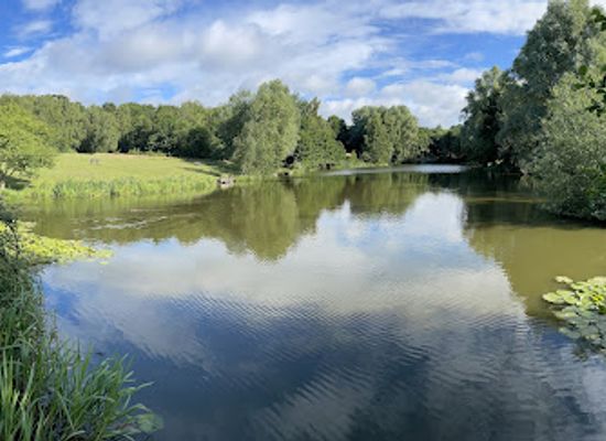 united-kingdom/essex/attraction/high-woods-country-park-2