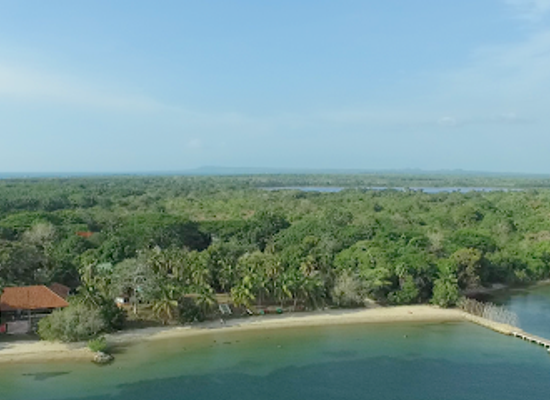 colombia/sucre-department/landmark/sanguare-nature-reserve