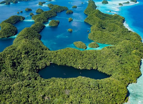 palau/rock-islands/landmark/jellyfish-lake