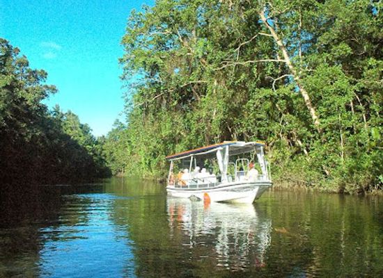 australia/cape-tribulation/landmark/solar-whisper-wildlife-and-crocodile-cruises-on-the-daintree-river