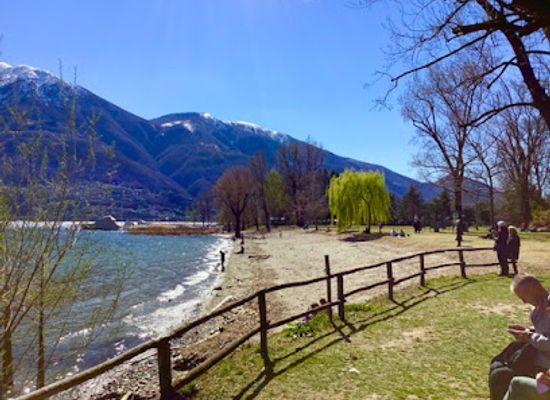 switzerland/locarno/landmark/parco-delle-camelie