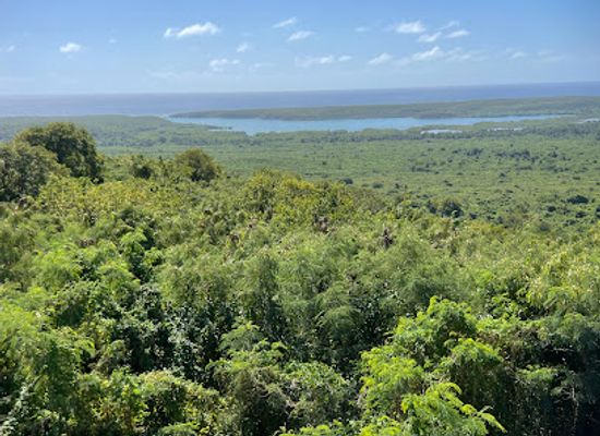 puerto-rico/caribbean-national-forest/landmark/vieques-national-wildlife-refuge