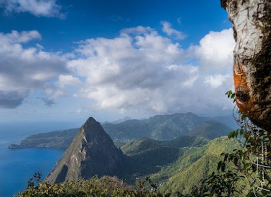 saint-lucia/canaries/landmark/adeline-s-art-cafe