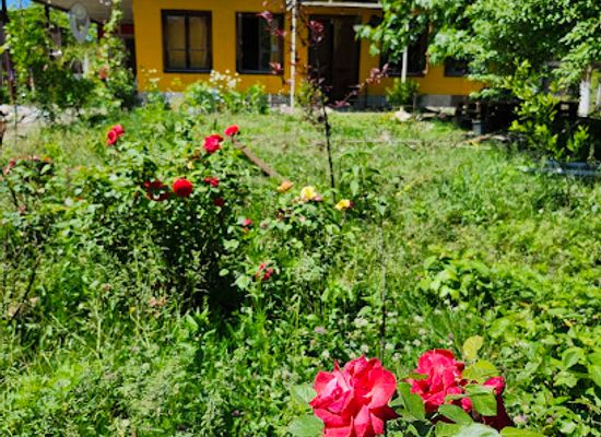 georgia/samegrelo-zemo-svaneti/landmark/cha-cha-backpackers