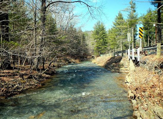 west-virginia/greenbrier-river-trail/landmark/greenbrier-state-forest