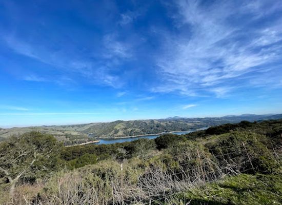 california/berkeley/landmark/berkeley-rotary-international-peace-grove