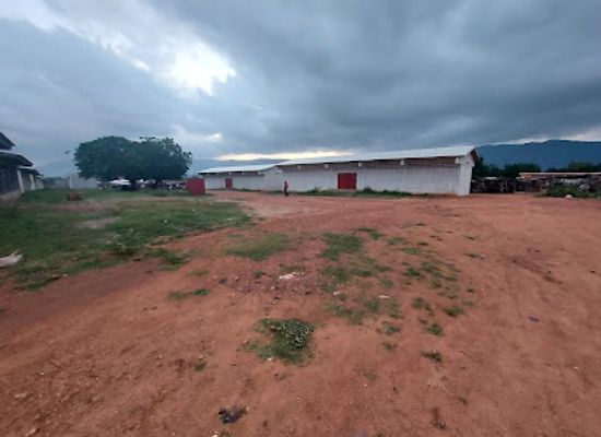 togo/plateaux-region/landmark/marche-chateau