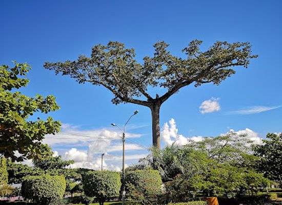 peru/ucayali/landmark/la-lupuna-park