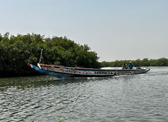 the-gambia/upper-river-region/landmark/gambia-river