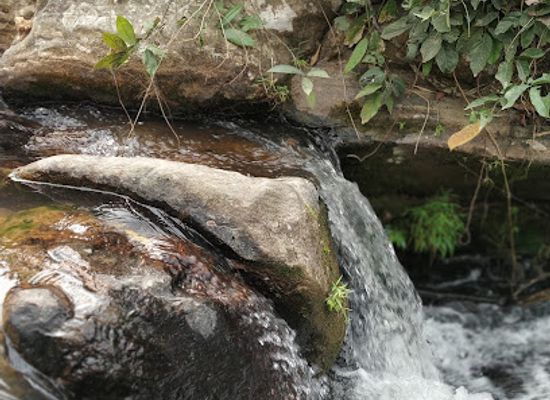 india/guwahati/landmark/kaandrang-picnic-spot