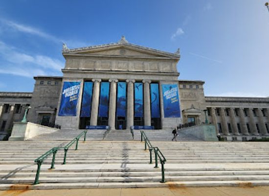 illinois/little-egypt/landmark/field-museum