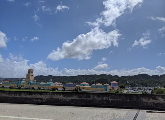 puerto-rico/arecibo/landmark/bosque-estatal-de-cambalache