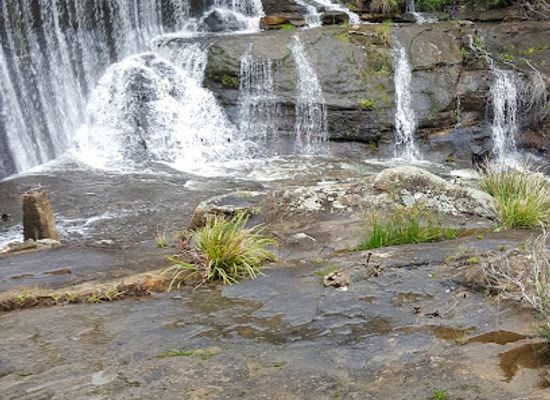 australia/central-highlands/landmark/box-vale-walking-track