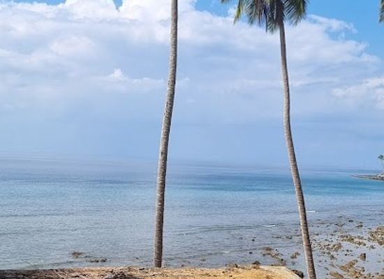 india/andaman-and-nicobar-islands/landmark/tales-of-andamans