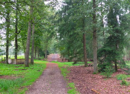 netherlands/hoge-veluwe-national-park/landmark/walking-in-de-hoge-veluwe