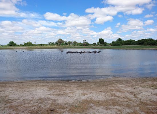 angola/okavango-basin/landmark/moremi-game-reserve