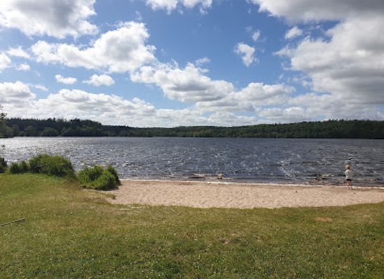 denmark/north-jutland/attraction/rold-forest