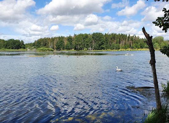 sweden/linkoping/attraction/tinnero-eklandskap