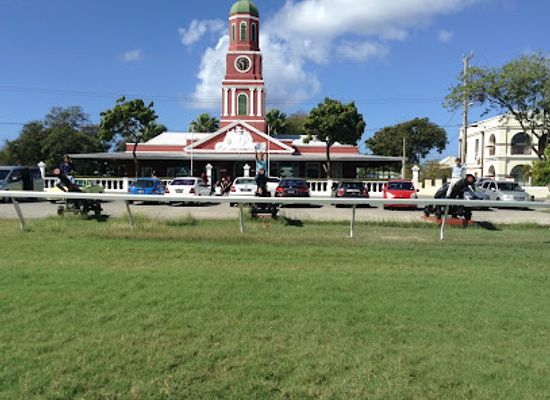 barbados/christ-church/landmark/garrison-savannah