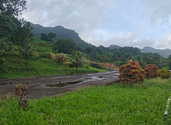 saint-vincent-and-the-grenadines/kingstown/landmark/vermont-nature-trail-and-rain-forest