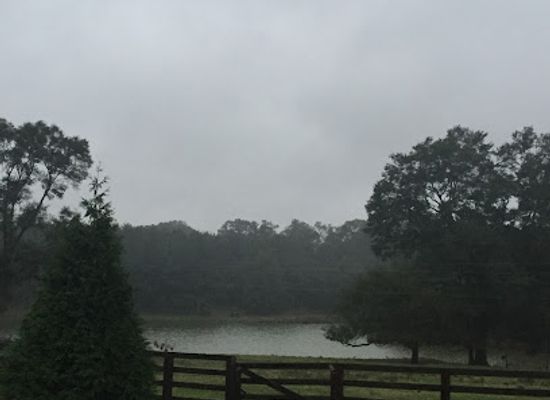 alabama/piney-woods/landmark/piney-woods-hunting-preserve-lodge