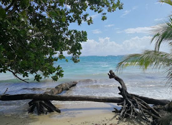 panama/bocas-del-toro/landmark/isla-bastimentos